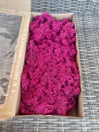 Licheni - Licheni Dark Pink