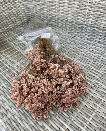Limonium - Limonium Sinensis Roz antichizat