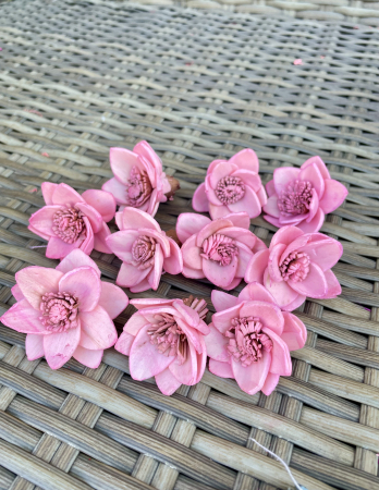 Shola - Mini garden Shola baby pink 10 capete