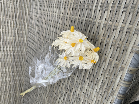 Noutati: Flori si plante uscate - Orhidee salbatica