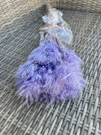 Pampas - Pampas pluminha lilla