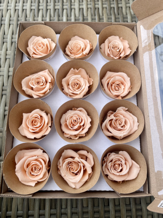 Dimensiune M - Pea-01, marime M