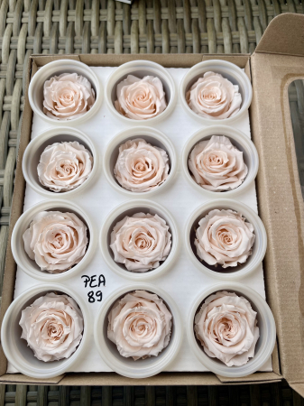 Dimensiune S - PEA-89,marime S