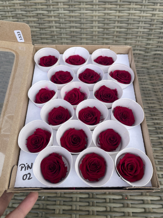 Dimensiune XS - PIN-02, Marime XS