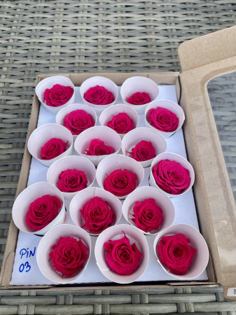 Dimensiune XS - PIN-03, marime XS