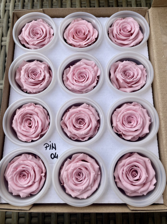 Dimensiune S - PIN-04,marime S