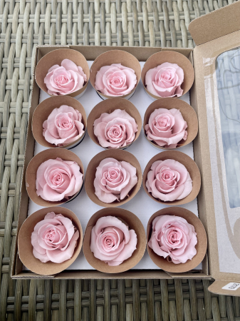 Dimensiune M - Pin-04,marime M