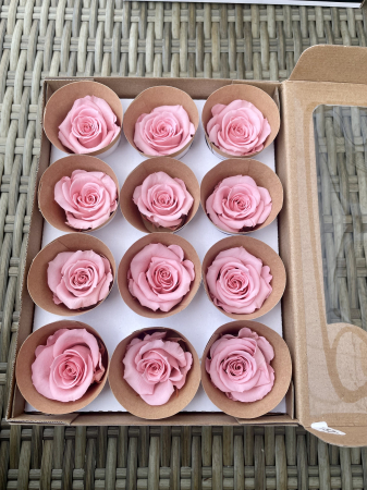 Dimensiune M - Pin-06, marime M