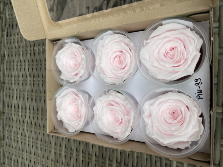 Dimensiune LL+ - PIN-89,marime LL+