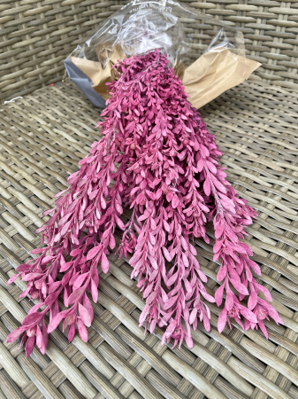 Verdeata Criogenata&Stabilizata - Pubescens Coral, criogenat