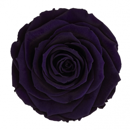 Dimensiune S - PUR-01,marime S