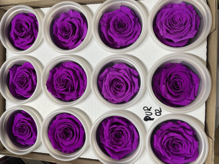 Dimensiune S - PUR-02,marime S