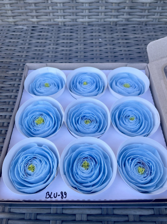 RANUNCULUS - RANUNCULUS BLU-89