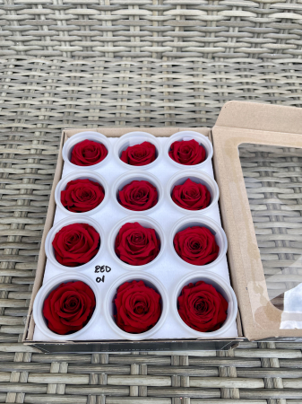 Dimensiune S - RED-01, marime S