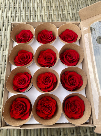 Dimensiune M - RED-02,marime M