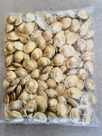 CRACIUN MAGIC - Samburi de caise aurii