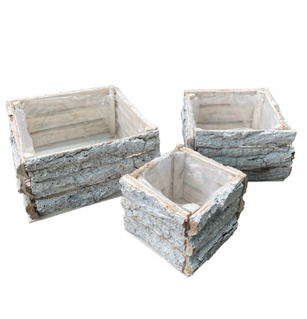 COSURI - Set 3 cosuri cu scoarta copac albe