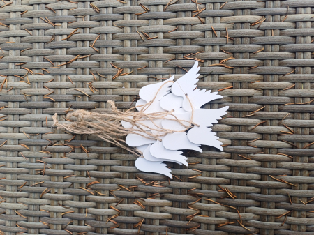 CRACIUN MAGIC - Set aripi inger albe