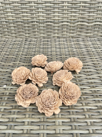 FLORI SI PLANTE USCATE - Shola Ming cappuccino 6 cm, 9 capete