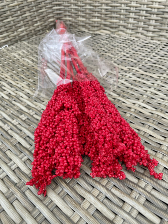 Sorgo - Sorgo rosu, 5 fire