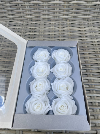 TRANDAFIRI CRIOGENATI-VERDISSIMO - Trandafir Medium Alb