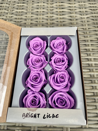 Dimensiune MEDIUM(Diametru:4.5-5cm, inaltime:3.5-4cm. - Trandafir Medium Bright Lilac