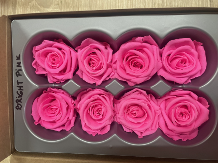 Dimensiune MEDIUM(Diametru:4.5-5cm, inaltime:3.5-4cm. - Trandafir Medium Bright Pink
