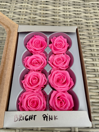 Dimensiune MEDIUM(Diametru:4.5-5cm, inaltime:3.5-4cm. - Trandafir Medium Bright Pink