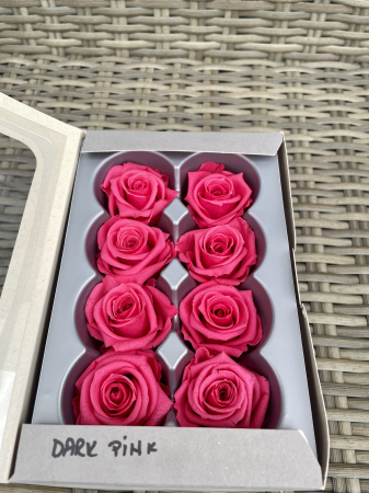 Dimensiune MEDIUM(Diametru:4.5-5cm, inaltime:3.5-4cm. - Trandafir Medium Dark Pink