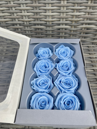 Dimensiune MEDIUM(Diametru:4.5-5cm, inaltime:3.5-4cm. - Trandafir Medium Light Blue