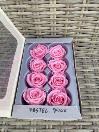 TRANDAFIRI CRIOGENATI-VERDISSIMO - Trandafir Medium Pastel Pink