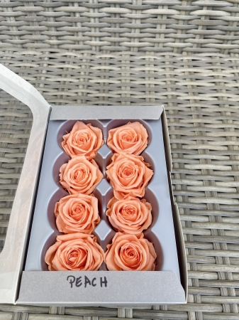 TRANDAFIRI CRIOGENATI-VERDISSIMO - Trandafir Medium Peach