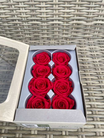 Dimensiune MEDIUM(Diametru:4.5-5cm, inaltime:3.5-4cm. - Trandafir Medium Rosu