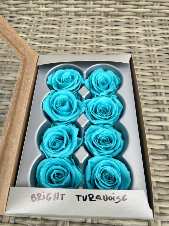 Dimensiune MEDIUM(Diametru:4.5-5cm, inaltime:3.5-4cm. - Trandafir Medium Turquoise