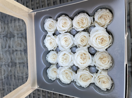 Dimensiune PRINCESS( Diametru 2.5-3cm, Inaltime:2-2.5cm) - Trandafir Princess Champagne