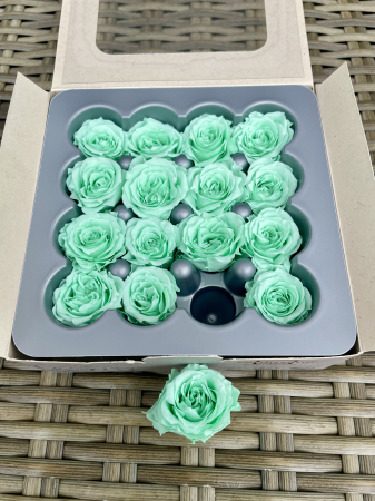 Trandafir Princess Pastel Mint [1]