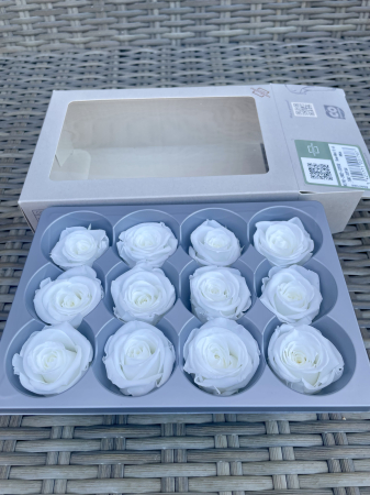 Dimensiune SMALL(diametru:3.5-4.5cm,inaltime:3.2-3.7cm) - Trandafir Small Alb