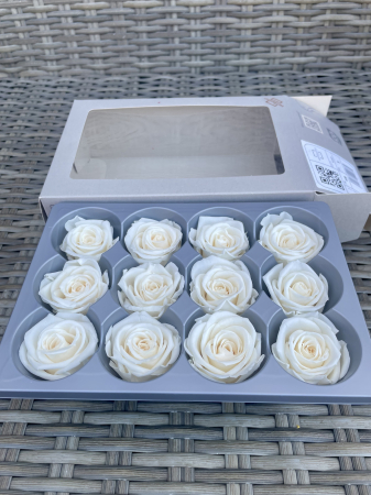 Dimensiune SMALL(diametru:3.5-4.5cm,inaltime:3.2-3.7cm) - Trandafir Small Champagne