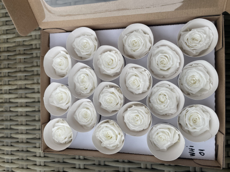 Dimensiune XS - WHI-01, marime XS