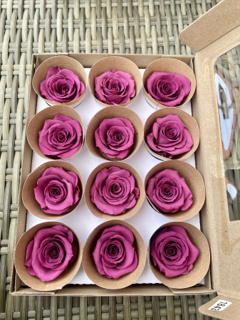 Dimensiune M - Vio-02, marime M