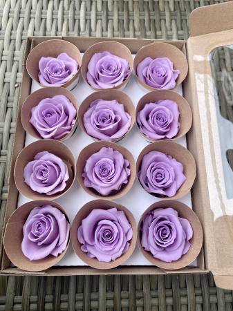 Dimensiune M - Vio-03, marime M