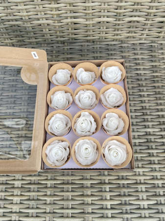 Dimensiune M - WHI-01,marime M