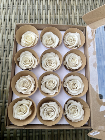 Dimensiune M - WHI-04,marime M