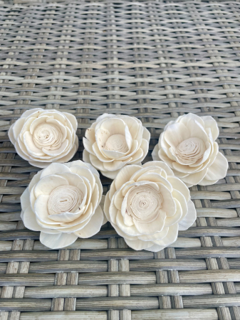 Shola - Wild Rose Shola, 6 cm, 5 capete