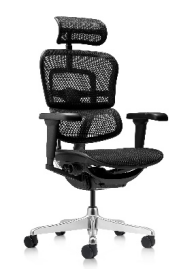 ERGOHUMAN2 STANDARD [1]