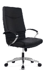 Executiv-Directorial-Vizitator - 5600 SETT