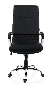 Executiv-Directorial-Vizitator - 5600 ECO