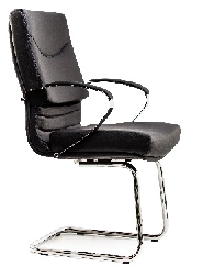 Executiv-Directorial-Vizitator - 5650 / S SETT