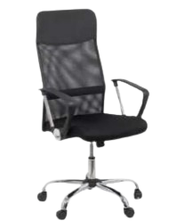 Banci & Scaune - SCAUN ERGOFLEX PRO OFC01