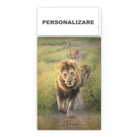 Agende & Calendare - Calendar de Perete Africa